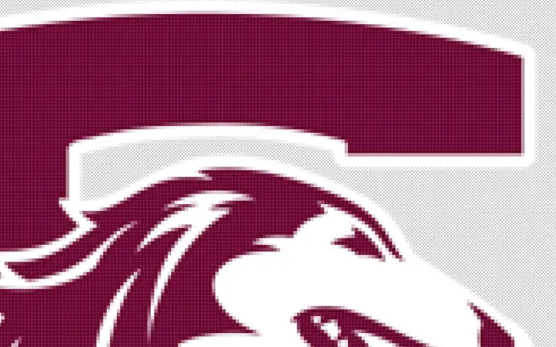 raster example image